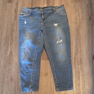Lane Bryant Blue Distressed Ankle Jeans